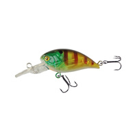 Wobler Robinson Buster F40 40mm 4g T PE