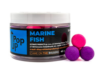 Ultimate Products Pop-Up Marine Fish 15mm