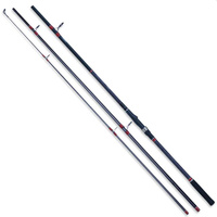 Robinson Carbonic Baltic Pilk 3,00m 100-300g