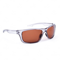 Shimano Okulary Polaryzacyjne Antares Transparent Grey & Copper