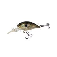 Wobler Robinson Buster F40 40mm 4g T BR